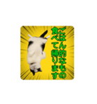 こまちゃん prototype ver.0.2（個別スタンプ：5）