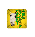 こまちゃん prototype ver.0.2（個別スタンプ：9）