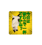 こまちゃん prototype ver.0.2（個別スタンプ：11）