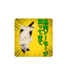 こまちゃん prototype ver.0.2（個別スタンプ：12）