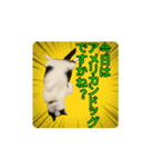 こまちゃん prototype ver.0.2（個別スタンプ：13）