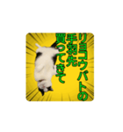 こまちゃん prototype ver.0.2（個別スタンプ：14）