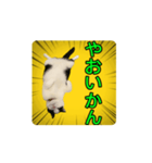 こまちゃん prototype ver.0.2（個別スタンプ：16）