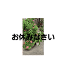 カラオケひかる（個別スタンプ：6）