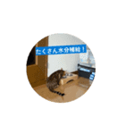 ユラのおかあさんがつくった動くスタンプ（個別スタンプ：1）