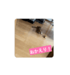 ユラのおかあさんがつくった動くスタンプ（個別スタンプ：2）