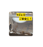 ユラのおかあさんがつくった動くスタンプ（個別スタンプ：7）