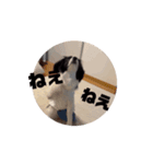 動く！？ビビちゃんスタンプ（個別スタンプ：4）