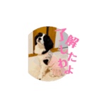 動く！？ビビちゃんスタンプ（個別スタンプ：7）