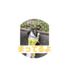 動く！？ビビちゃんスタンプ（個別スタンプ：8）