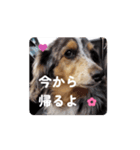 れん♡きぃ（個別スタンプ：1）