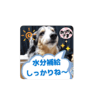 れん♡きぃ（個別スタンプ：6）