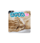 れん♡きぃ（個別スタンプ：8）
