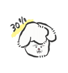もちゃっぷ アンゴラウサギ！！（個別スタンプ：21）