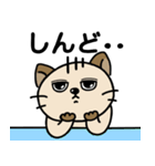 お茶丸。（個別スタンプ：8）