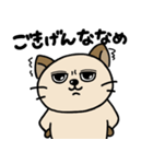 お茶丸。（個別スタンプ：24）