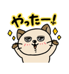 お茶丸。（個別スタンプ：30）