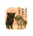 うちの子四銃士（個別スタンプ：5）
