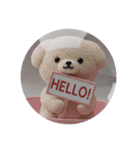 もふもふいぬカプセルトイ（個別スタンプ：1）