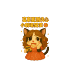超欠用！塔奇喵爆萌日常♡（個別スタンプ：16）