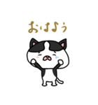 ハチワレさん(日常会話)（個別スタンプ：1）
