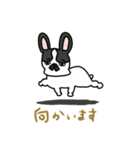 ハチワレさん(日常会話)（個別スタンプ：2）