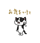 ハチワレさん(日常会話)（個別スタンプ：5）