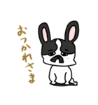ハチワレさん(日常会話)（個別スタンプ：6）