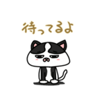 ハチワレさん(日常会話)（個別スタンプ：8）