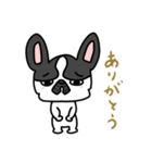 ハチワレさん(日常会話)（個別スタンプ：16）