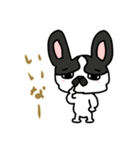 ハチワレさん(日常会話)（個別スタンプ：20）