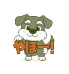 シュナウザーの日常◼︎message ver.（個別スタンプ：17）