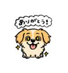 ぽんすけの日常（育児スタンプ）（個別スタンプ：1）