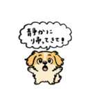 ぽんすけの日常（育児スタンプ）（個別スタンプ：10）