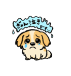 ぽんすけの日常（育児スタンプ）（個別スタンプ：12）