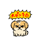 ぽんすけの日常（育児スタンプ）（個別スタンプ：13）