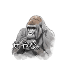 全肯定ゴリラ（個別スタンプ：1）