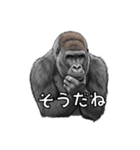 全肯定ゴリラ（個別スタンプ：3）