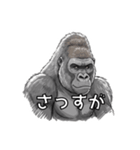 全肯定ゴリラ（個別スタンプ：4）