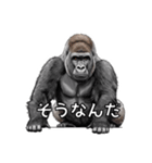 全肯定ゴリラ（個別スタンプ：6）