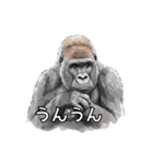 全肯定ゴリラ（個別スタンプ：7）