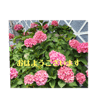 ご挨拶ですよろしく（個別スタンプ：3）