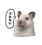 ☆しらすとその仲間たち☆（個別スタンプ：10）