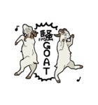 【ごかつら池どうぶつパーク】1周年記念！（個別スタンプ：1）