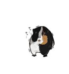 【ごかつら池どうぶつパーク】1周年記念！（個別スタンプ：13）