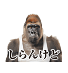 【ツッコミ】関西弁ゴリラ（個別スタンプ：3）