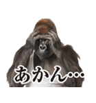 【ツッコミ】関西弁ゴリラ（個別スタンプ：6）