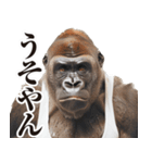 【ツッコミ】関西弁ゴリラ（個別スタンプ：10）
