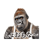 【ツッコミ】関西弁ゴリラ（個別スタンプ：12）