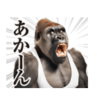 【ツッコミ】関西弁ゴリラ（個別スタンプ：15）